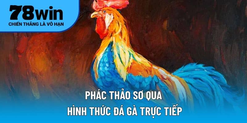 Phác thảo sơ qua hình thức đá gà trực tiếp